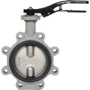 Затвор дисковый Giacomini поворотный с проушинами DN250, R59FLX025