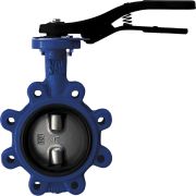 Затвор дисковый Giacomini поворотный с проушинами DN200, R59FLY020