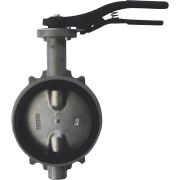 Затвор дисковый Giacomini поворотный DN150, R59WX015