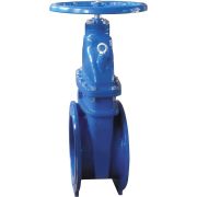 Задвижка Giacomini с фланцевым соединением DN80, R55FLY008