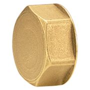 Пробка для коллектора Giacomini 1quot;, R594Y004