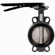 Затвор дисковый поворотный РИДАН ЗДМ 05.16.125 PN16 DN125 корп. GG25, диск - нерж. сталь AISI