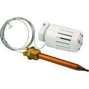 Головка термостатическая Giacomini с погружным датчиком 2 м, R462LX011